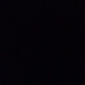 Meet your Posher, Sylvia